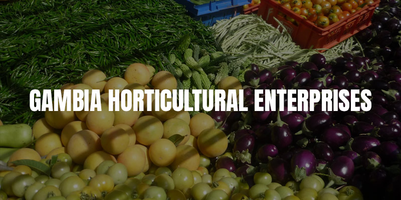GAMBIA HORTICULTURAL ENTERPRISES
